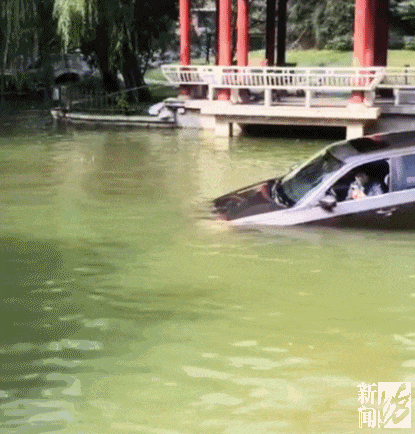 六旬阿姨小区内驾车冲进水里！落水后自行脱困，有人被撞到
