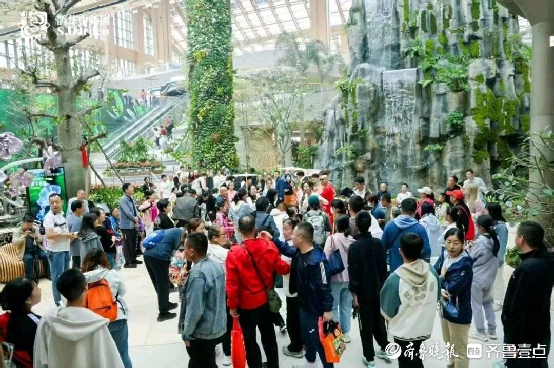 活力起步|从狮城到泉城,鹊山生态文化区凭“南洋风”成文旅黑马