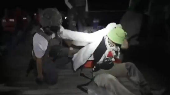 以色列外交部：“环保少女”通贝里和其他170名活动人士已被驱逐出境