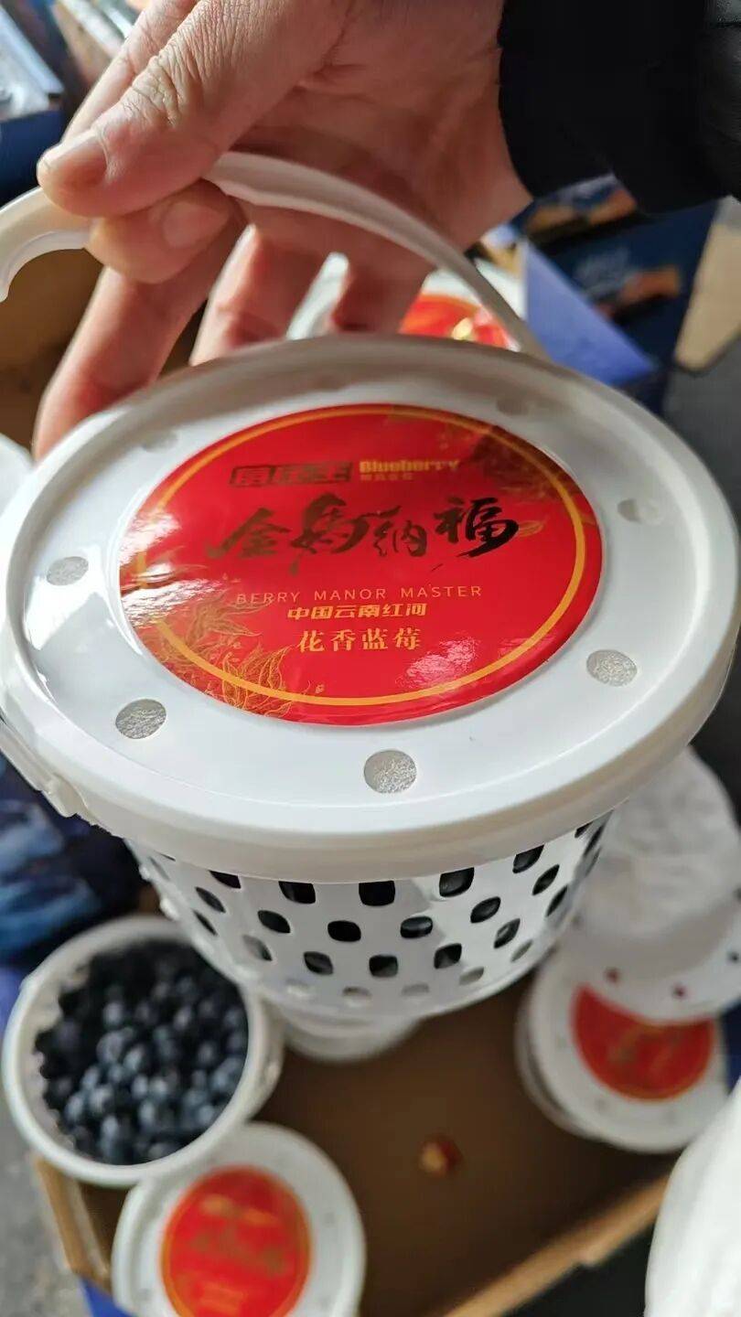 蓝莓价格大跳水！不少人成桶买！提醒：千万别狂炫