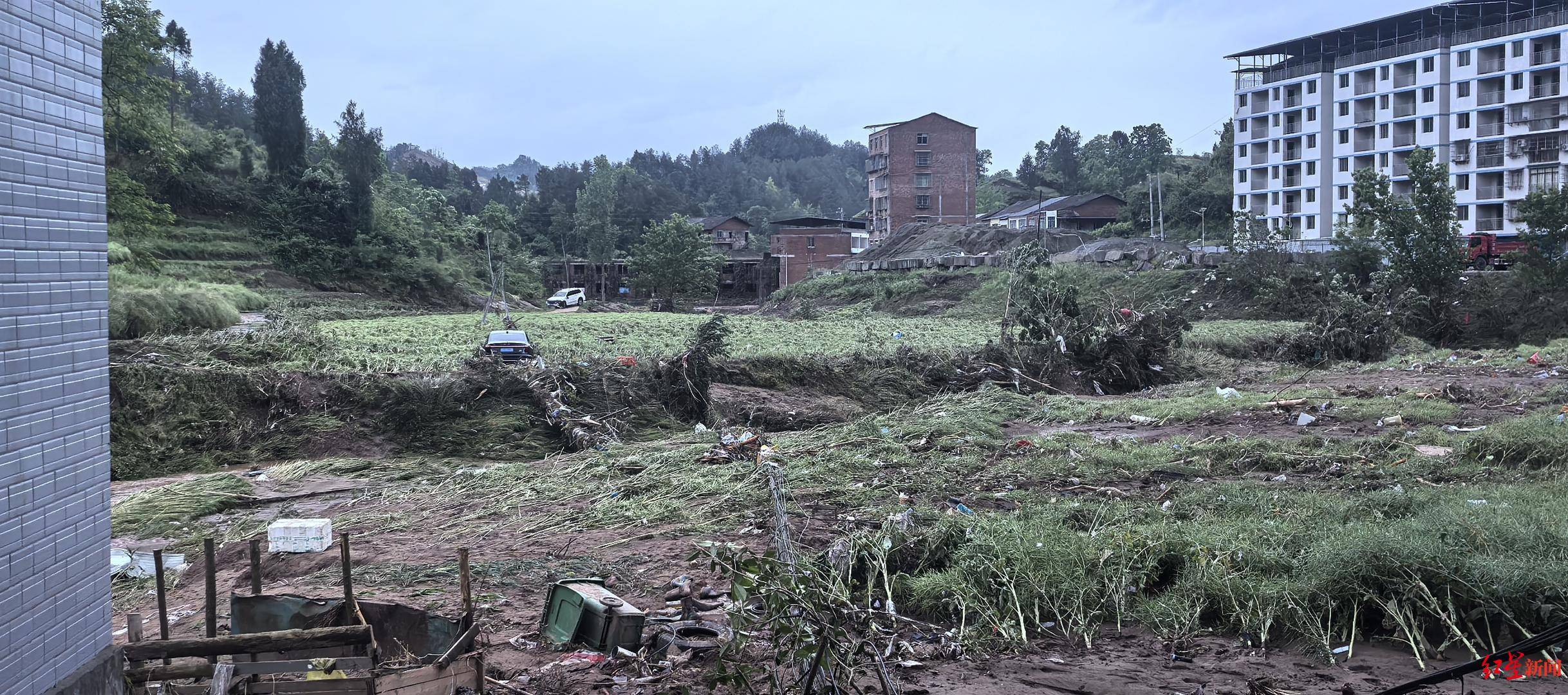 达州双龙镇遭暴雨袭击，街道被淹多辆车被冲走 镇政府：已全力进入清淤阶段