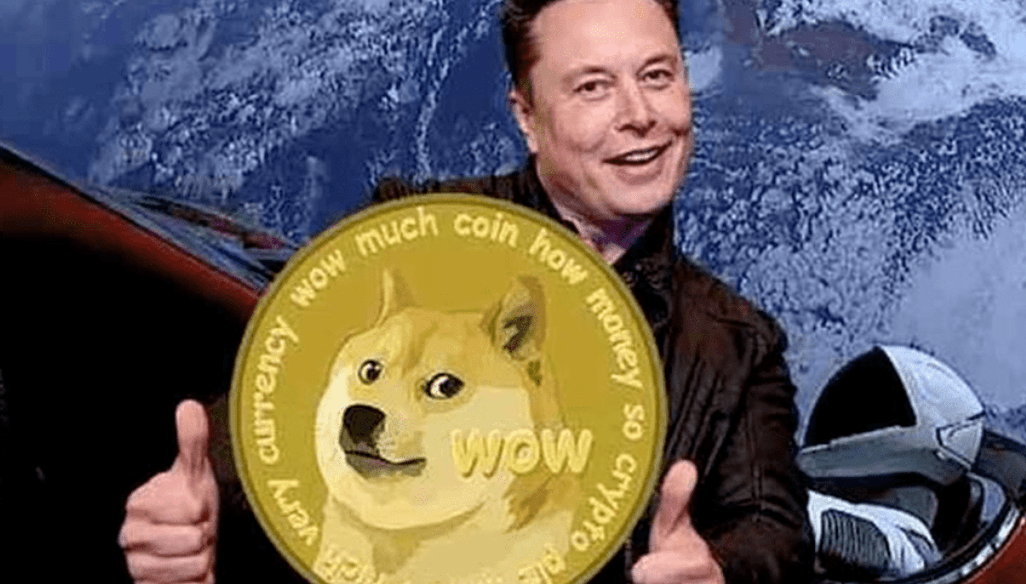 shib跟doge币的关系(doge3s币与doge区别)