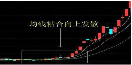长线持币shib(持长线股的要素有哪些)