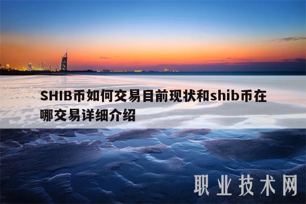 shib币未来发展怎么样(shib币未来到底有没有价值)