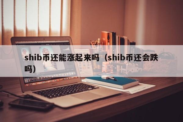 shib币还能入手吗(shib币现在还能买吗)