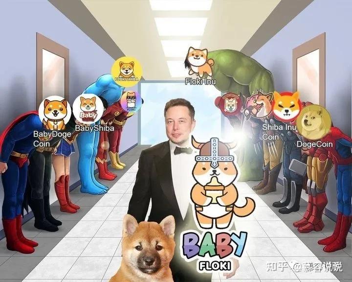 shib币与马斯克(马斯克babydoge币)