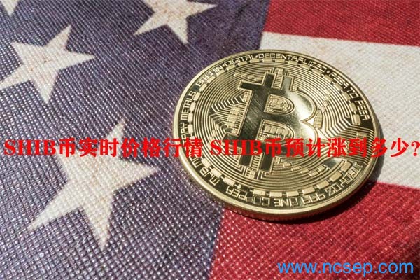 shib虚拟币是谁创造(虚拟币什么时候开始盛传的)