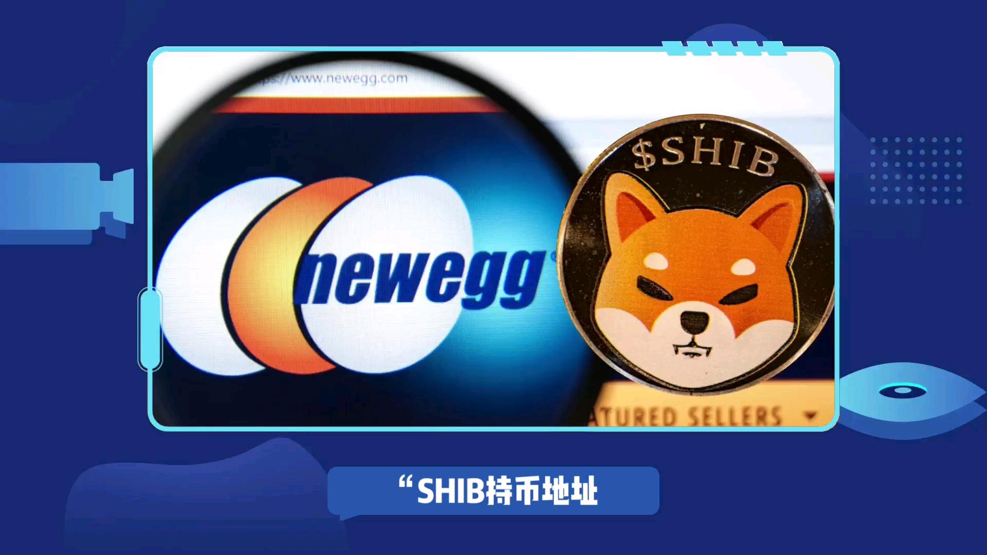 shib币狂跌(shib币会涨到01美元吗)