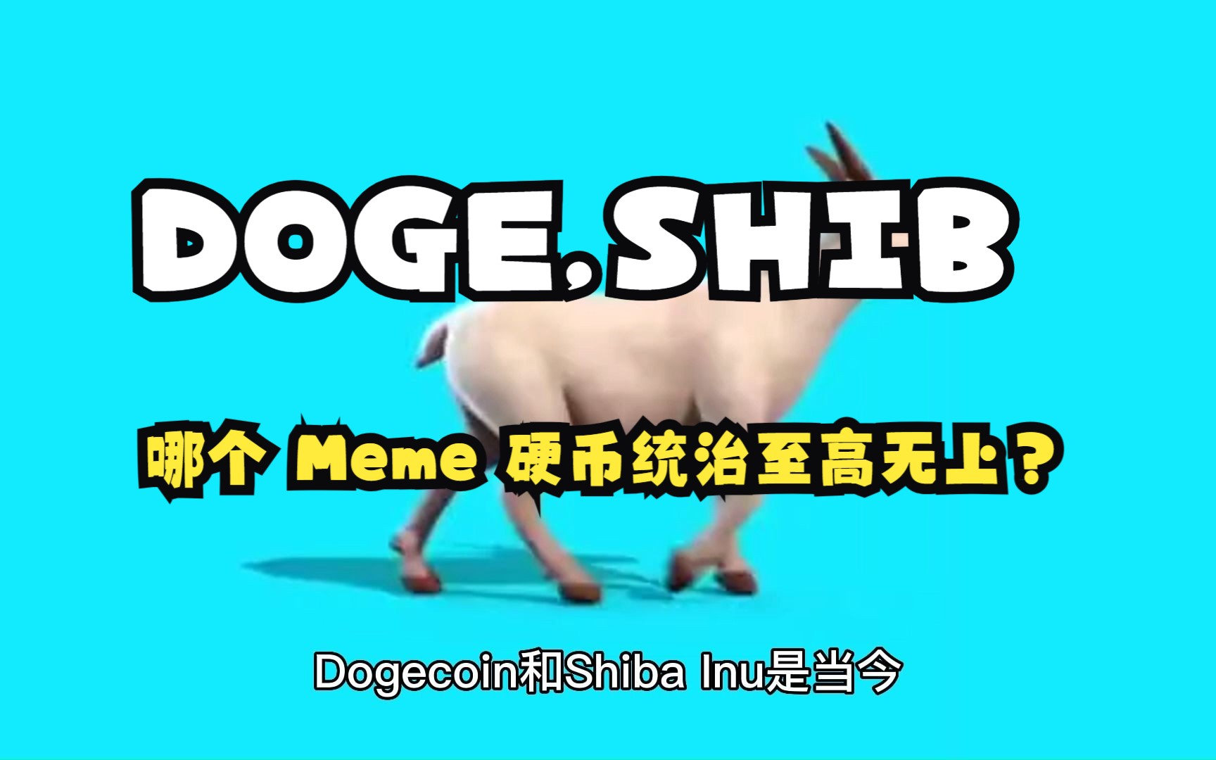 shib和狗狗币的区别(shib和狗狗币什么关系)