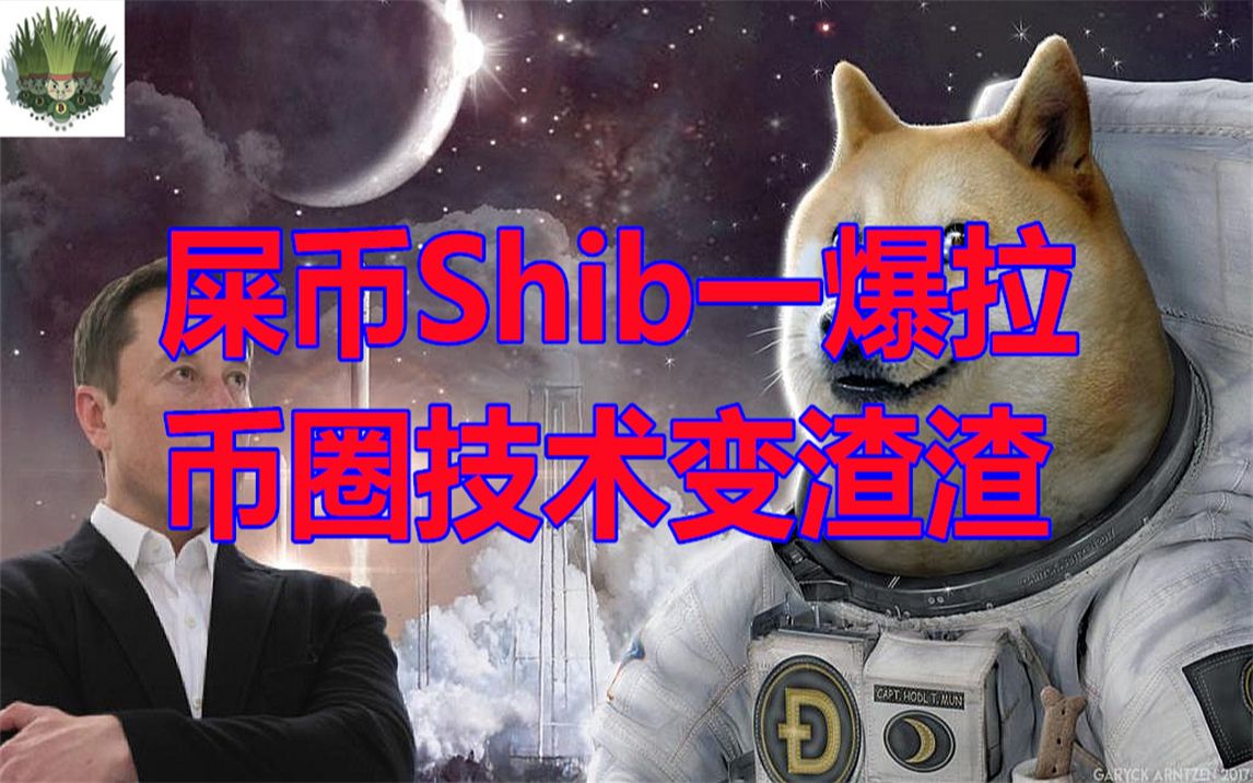 shib币背后(shib币有潜力吗)