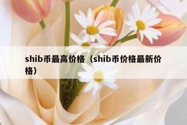 类似SHIB的虚拟币(shib币交易今日价格)
