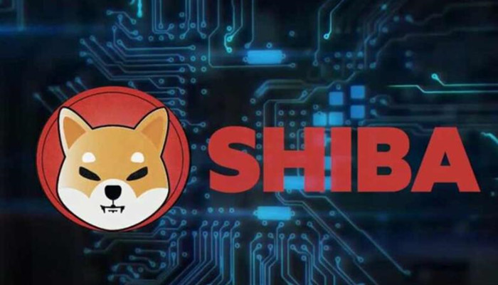shib币诈骗上央视的简单介绍
