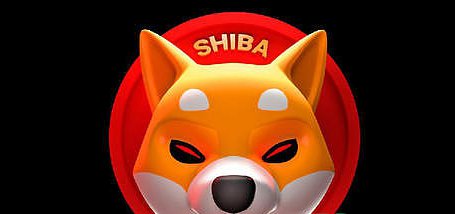 买入泰达币可以买shib吗(买入泰达币可以买shib吗是真的吗)
