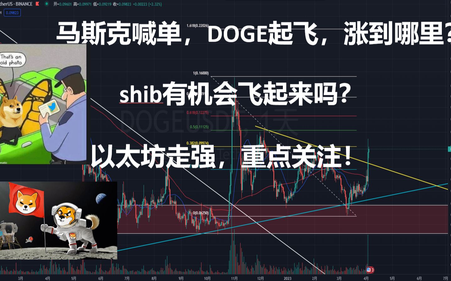 马斯克带shib币(马斯克shib币1美元)