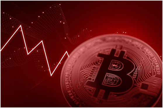 关于shib这个币有投资价值吗的信息