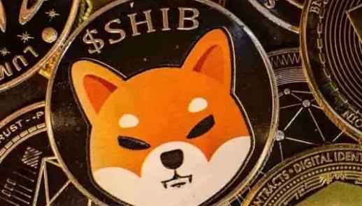 聚币shib币世界(聚币网coinegg)