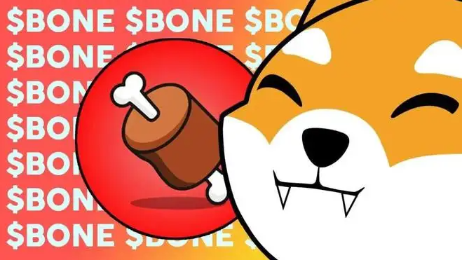 shib币空投bones(柴犬币1000元赚了8000万)