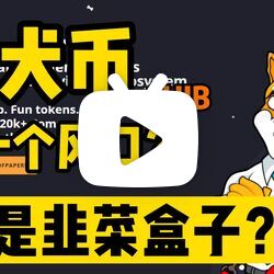 SHIB屎币会超越狗狗币吗的简单介绍