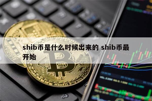 shib币怎么获取(shib币100元赚16亿)