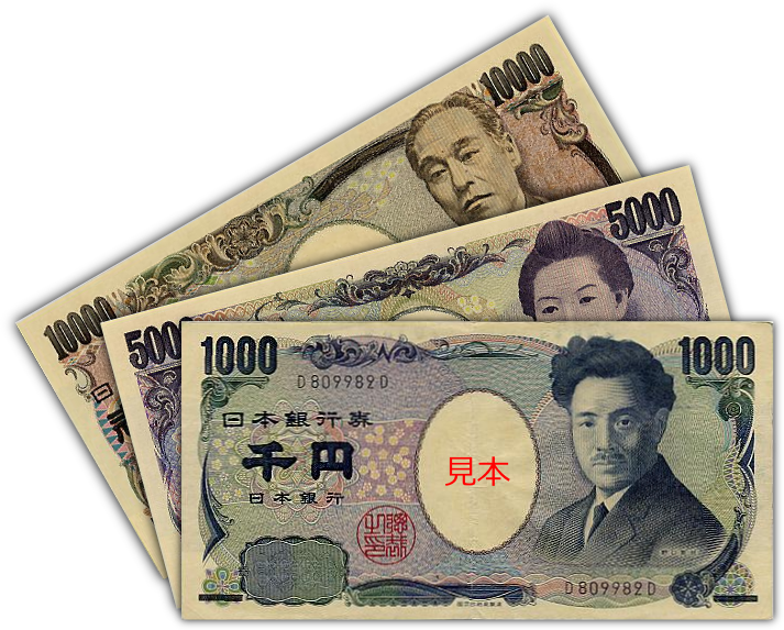 shib持币(shib持币地址查询)