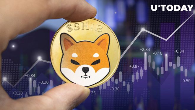 shib跟doge币的关系(shib币上coinbase了吗)