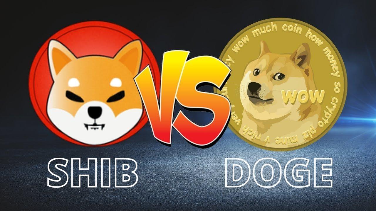 shib屎币有销毁制度吗的简单介绍