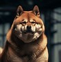 shib世界币(shib 币世界)