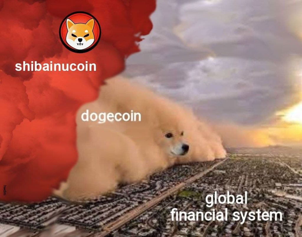 shib币世界(shib行情币世界)