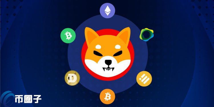 shib币上罗宾汉(shib上罗宾汉交易所)