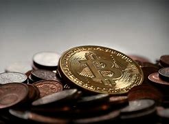 shib币上线的交易所(shib币上架了哪个交易所)