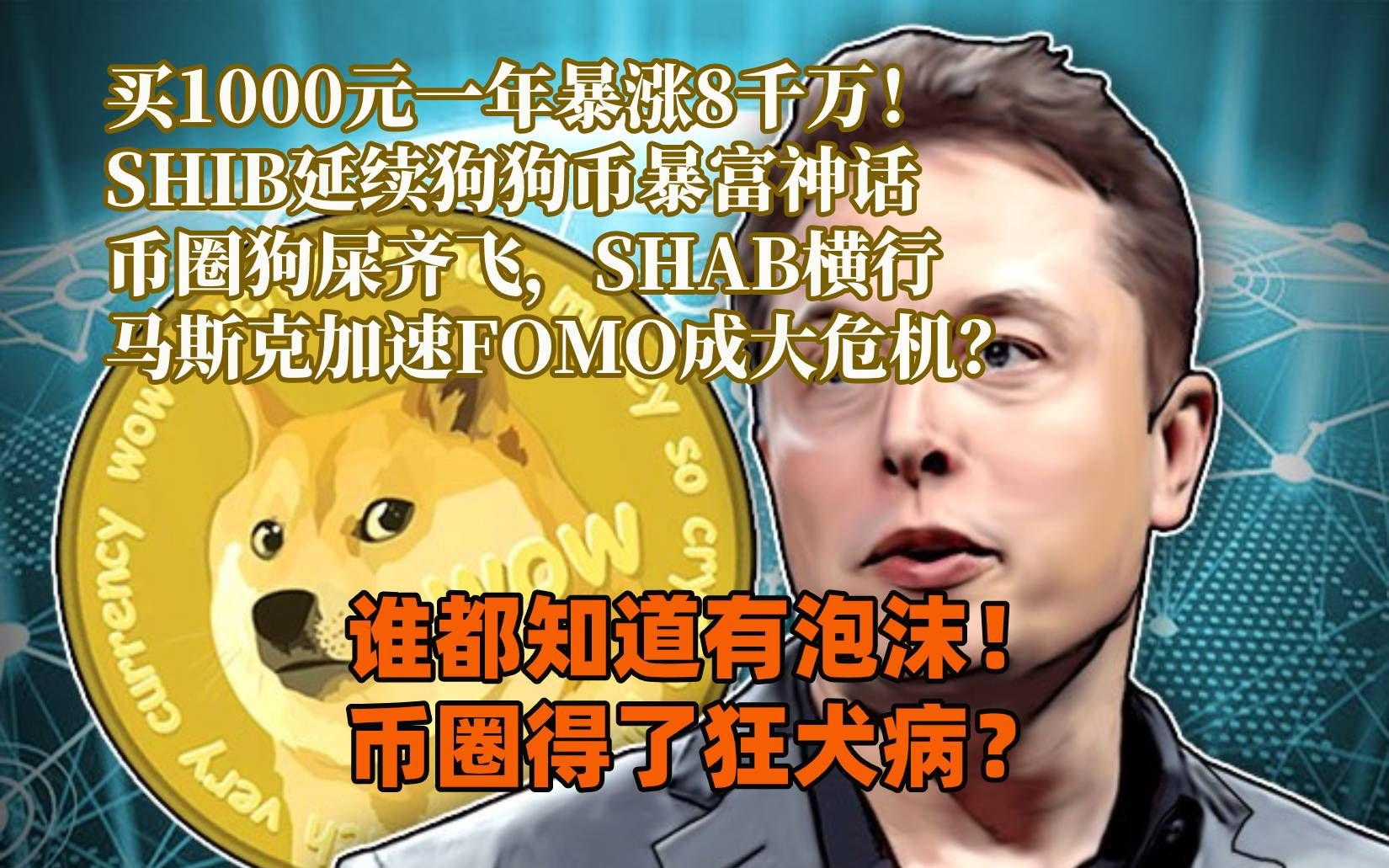 shib币骗局(shib币是不是传销币)