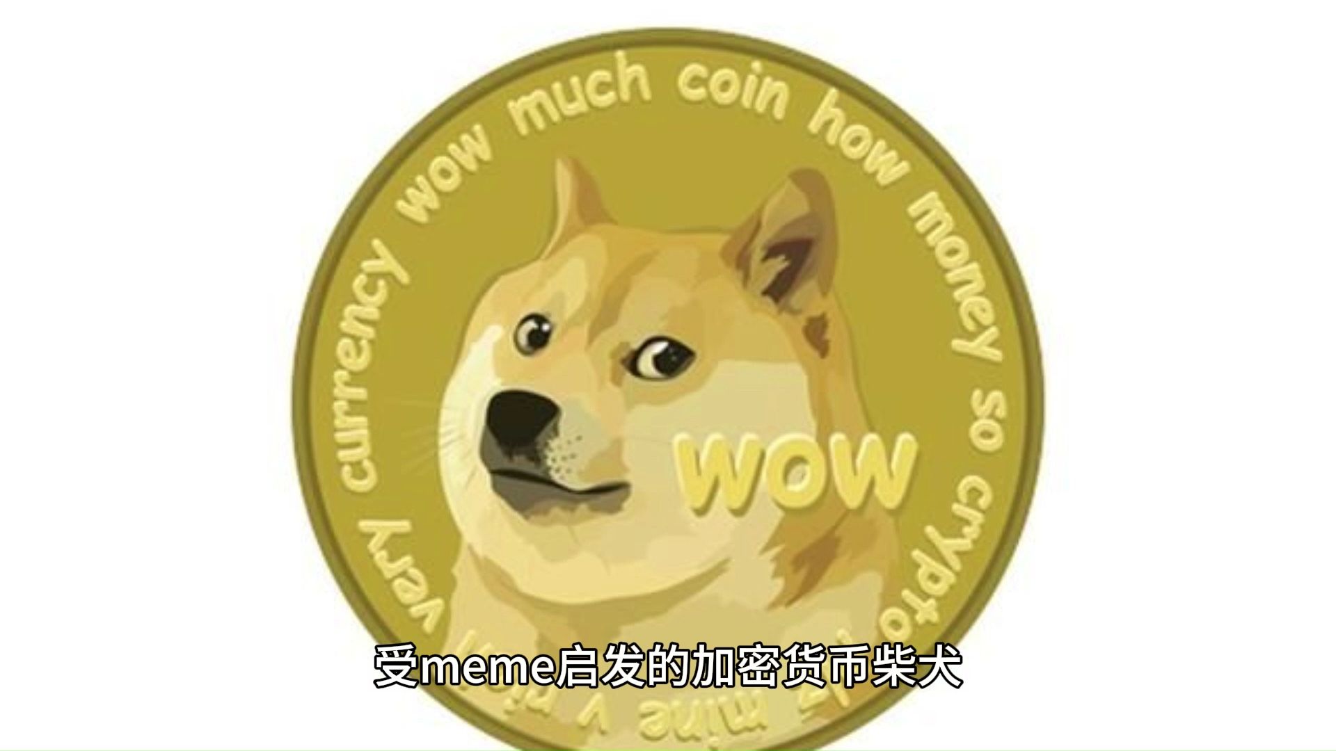 shib币会涨吗(shib币还会跌吗)