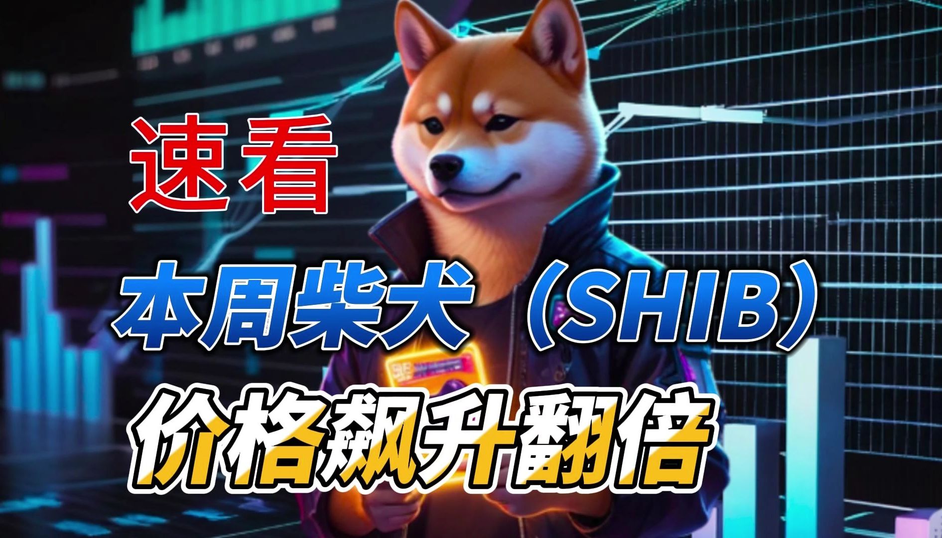 shib币价格今日行情(shib币价格今日行情 币排名网)