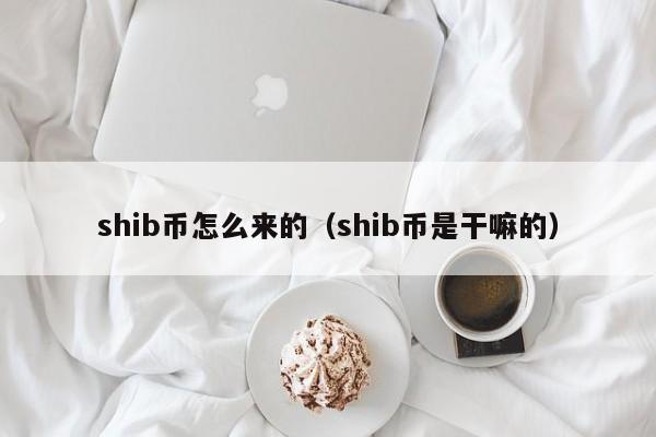 shib谁的分拆币(拆分的币能暴涨多少倍)