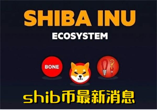SHIB币价格文案的简单介绍