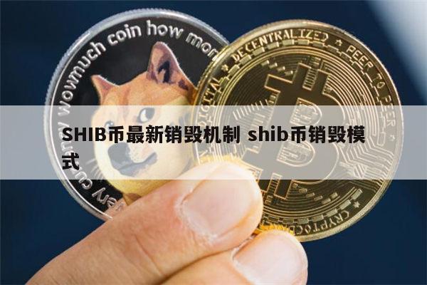 shib币用途(shib币值得长期投资吗)