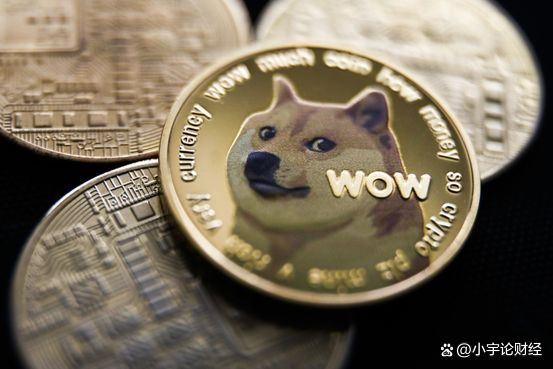 关于shib柴犬币还会上涨吗的信息
