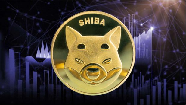 shib币有未来价值吗(shib币到底有没有前景)