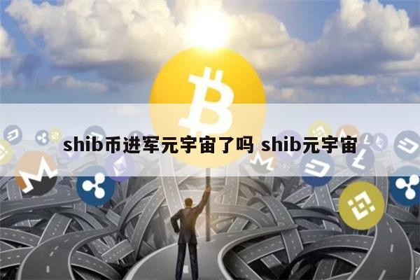 shib币怎么来的(shib币为什么这么火)