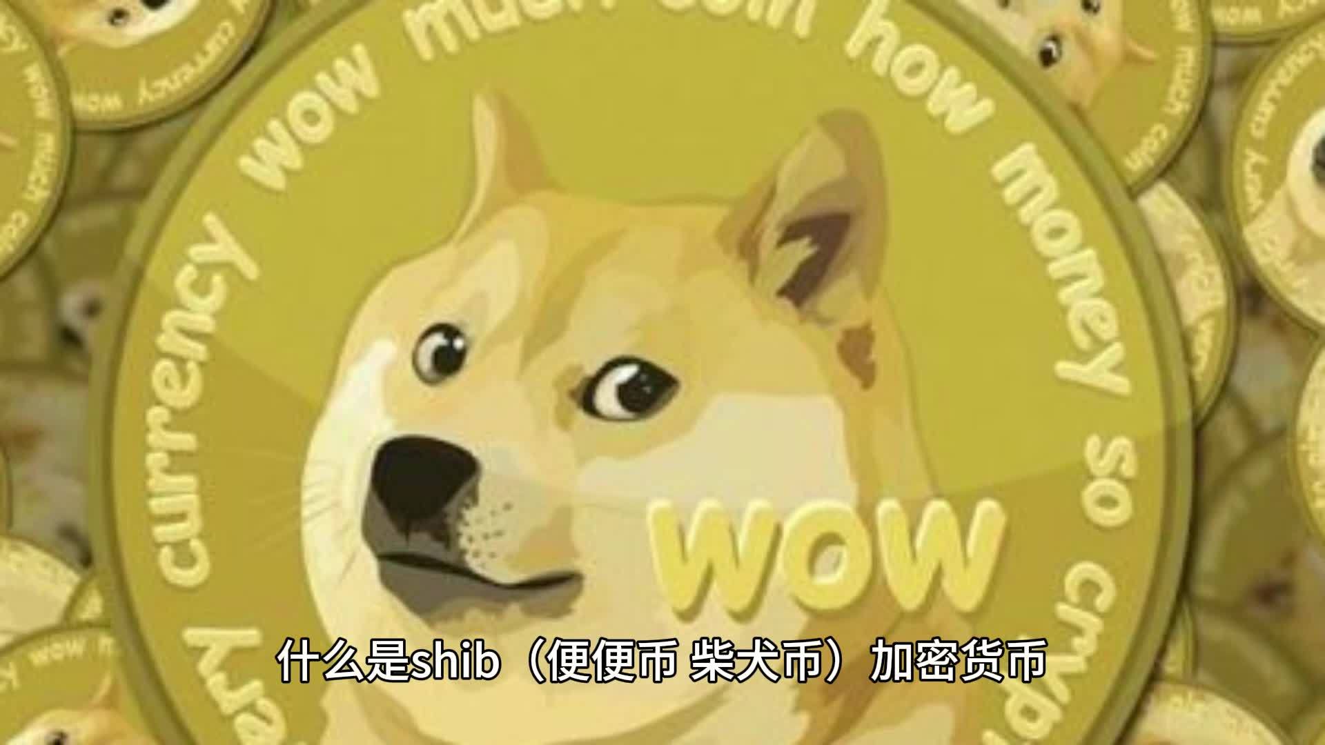 shib柴犬币分析(shin柴犬币是什么)
