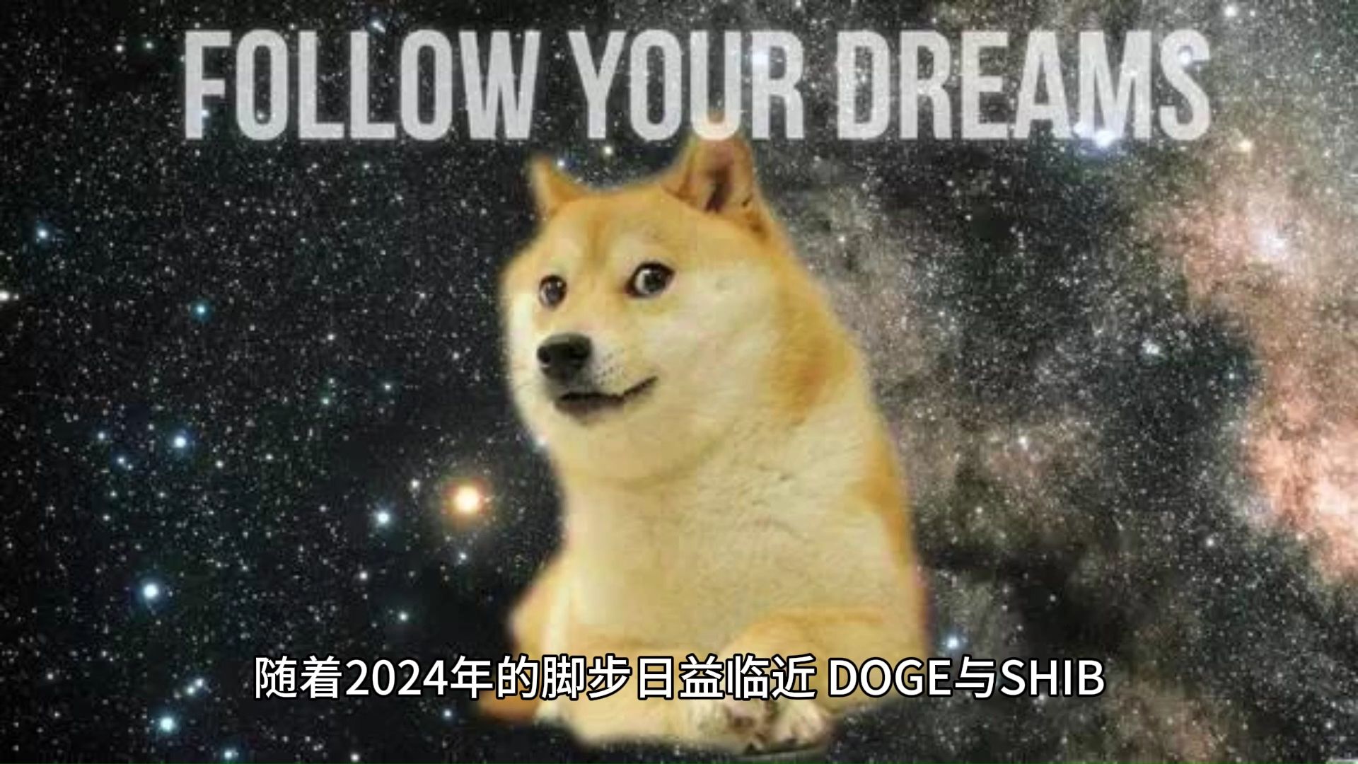 shib币和doge(shib币和狗狗币区别)