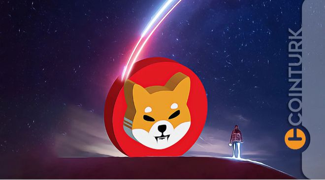 shib币最新消息称(shib币最新价格今日行情)