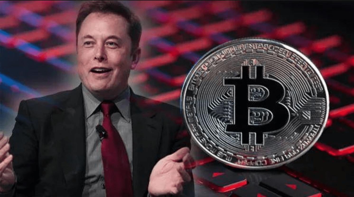 马斯克shib币(马斯克shib币直播)