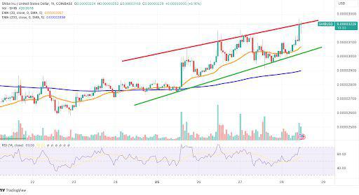 shib币持有人(shib币值得长期投资吗)