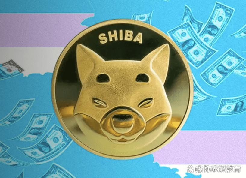 shib币持有人(shib币值得长期投资吗)