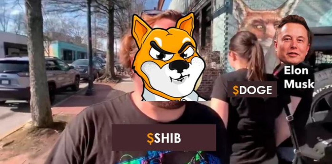 shib币销毁(shib币销毁最新消息)