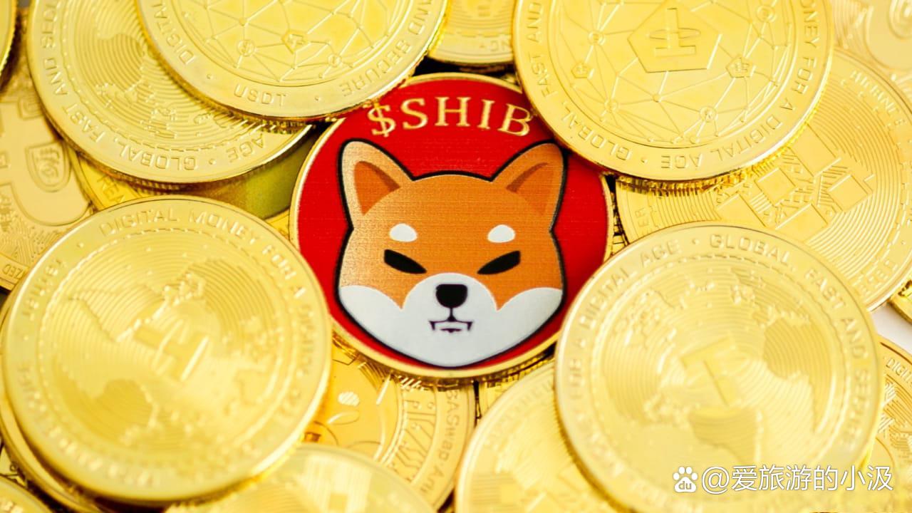 shib币柴犬币(shib柴犬币值得投资吗)