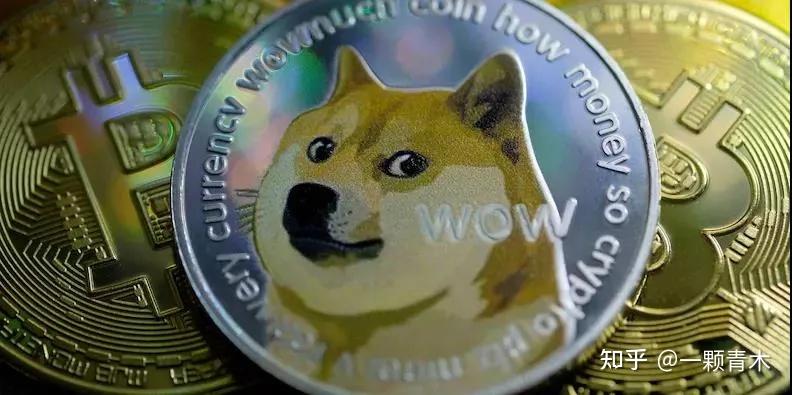 shib提币很久(提币失败后多久能返回币)