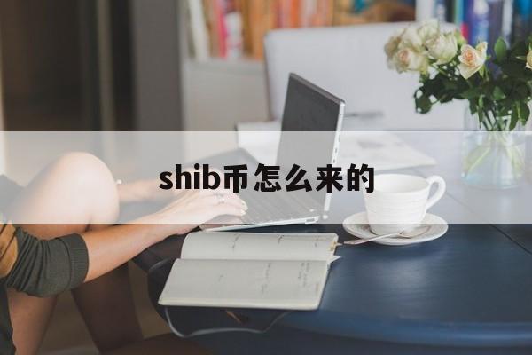 shib币怎么来的(shib币最开始在哪里买的)